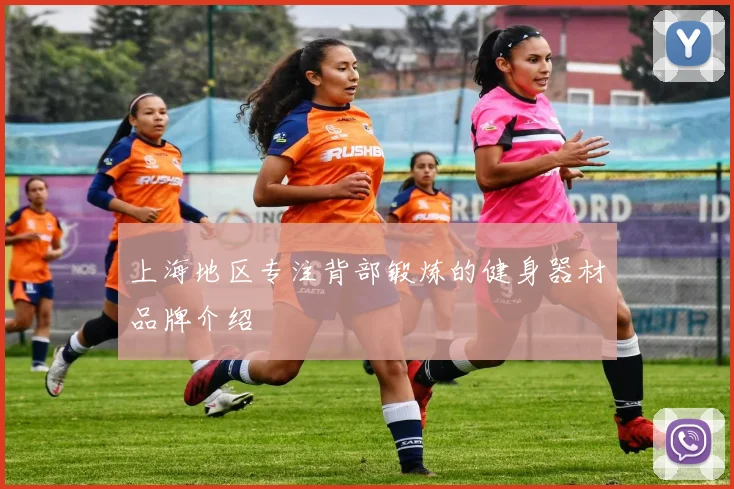 上海地区专注背部锻炼的健身器材品牌介绍