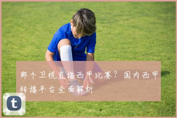 那个卫视直播西甲比赛？国内西甲转播平台全面解析