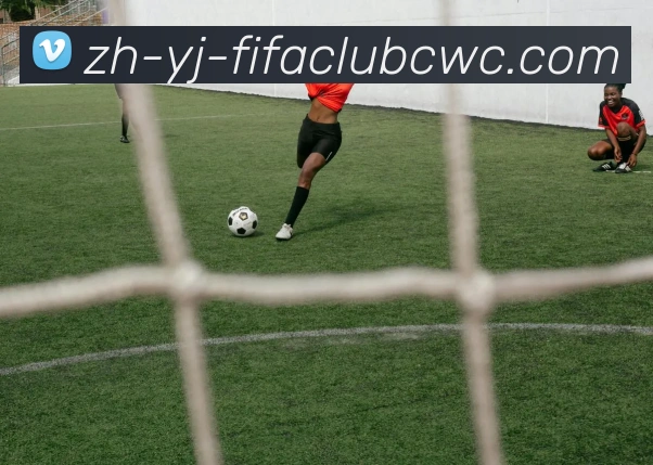 世界杯平台品牌故事