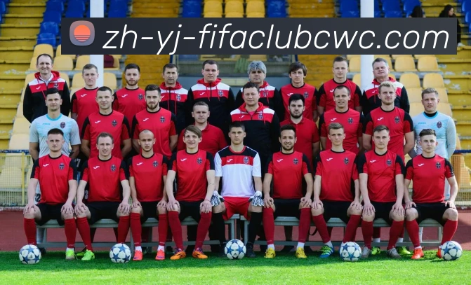 世界杯平台服务体系