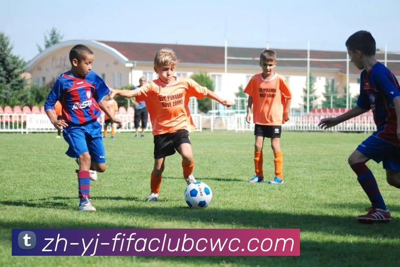 多媒体互动体验